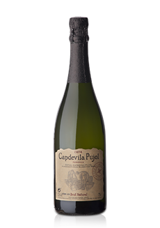 Capdevila Pujol Magnum