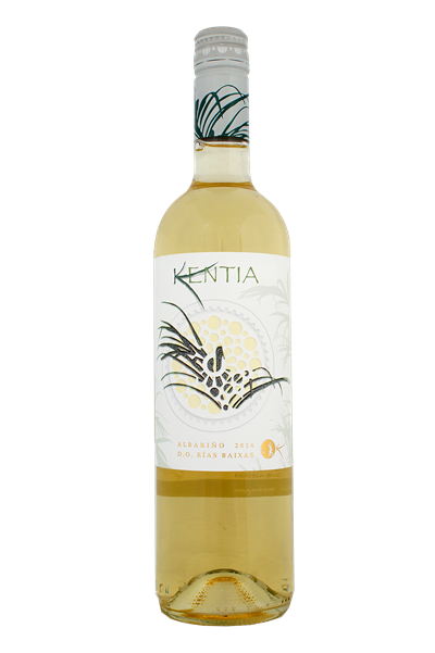 Kentia Kentia
